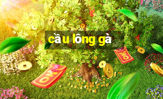 cầu lông gà