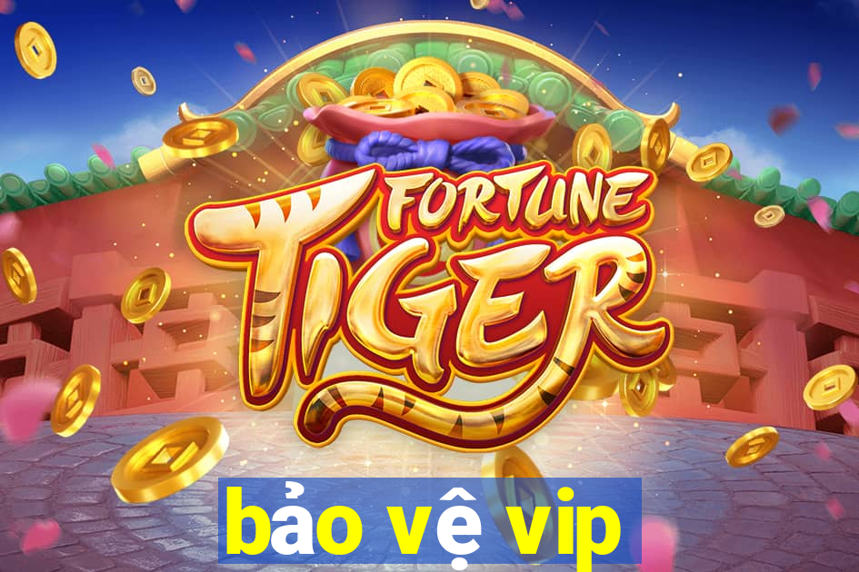 bảo vệ vip