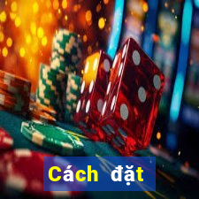 Cách đặt cược XSST ngày 7