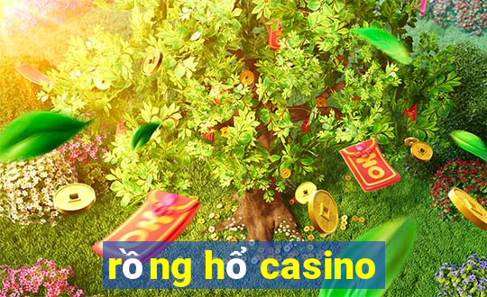 rồng hổ casino