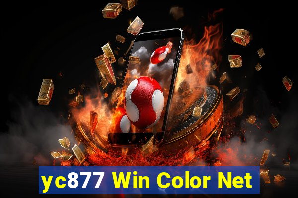 yc877 Win Color Net