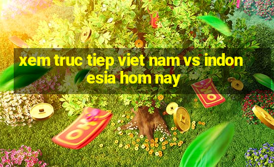 xem truc tiep viet nam vs indonesia hom nay