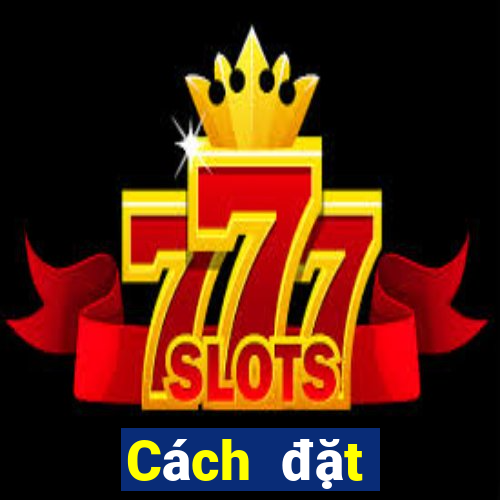 Cách đặt cược XSBTR ngày 28