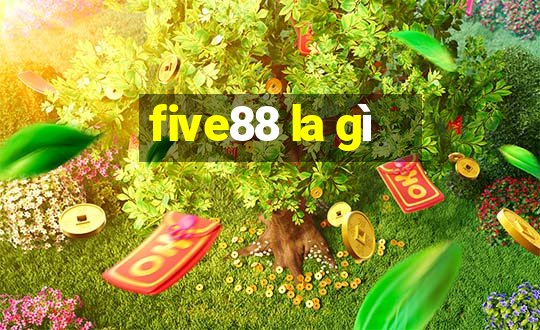 five88 la gì