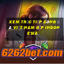 xem trực tiếp bóng đá việt nam gặp indonesia