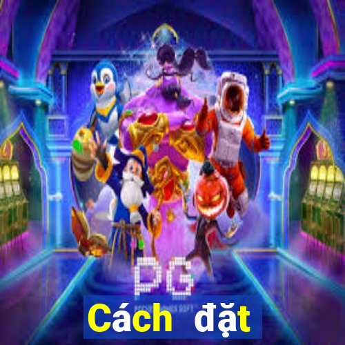 Cách đặt cược XSNT ngày 17