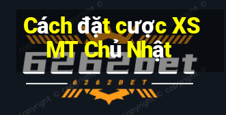 Cách đặt cược XSMT Chủ Nhật