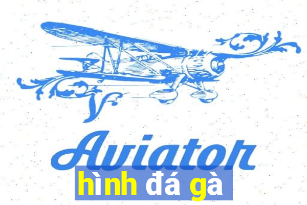 hình đá gà