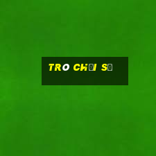 trò chơi số