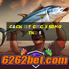 Cách đặt cược XSDNO Thứ 5