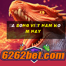 đá bóng việt nam hôm nay