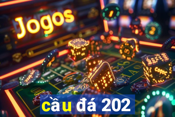 cầu đá 202