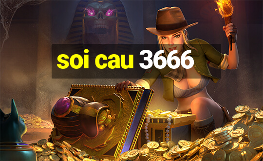 soi cau 3666