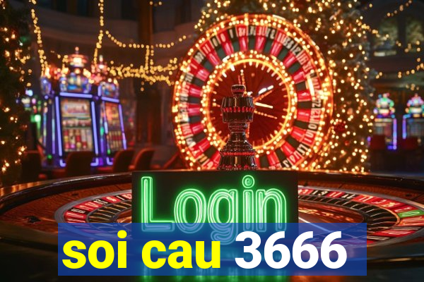 soi cau 3666