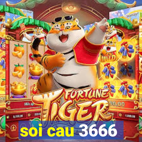 soi cau 3666