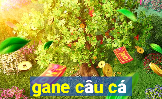 gane câu cá