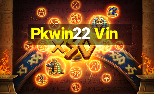 Pkwin22 Vin