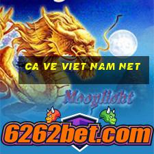 ca ve viet nam net