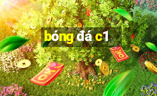 bóng đá c1