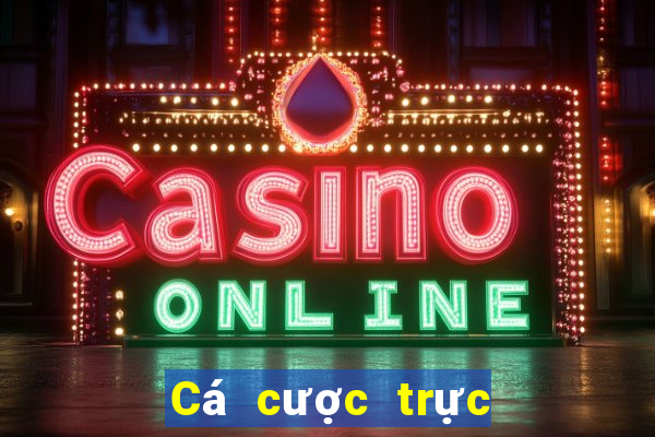 Cá cược trực tuyến vip52