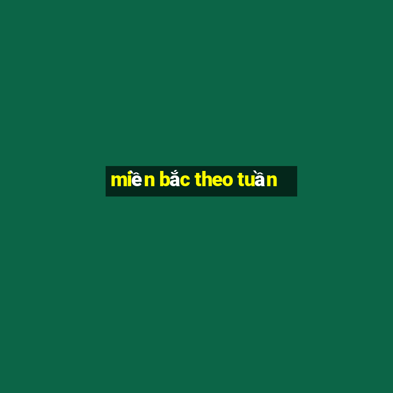 miền bắc theo tuần