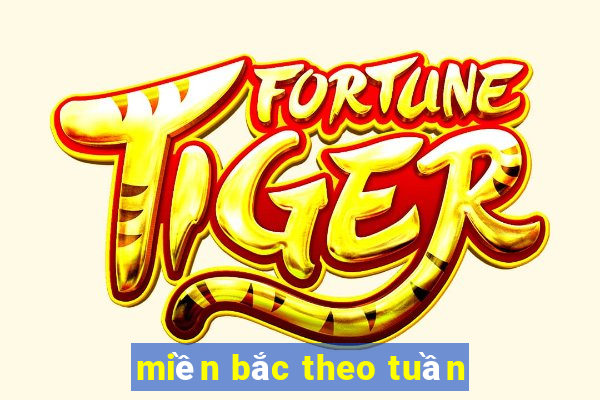 miền bắc theo tuần