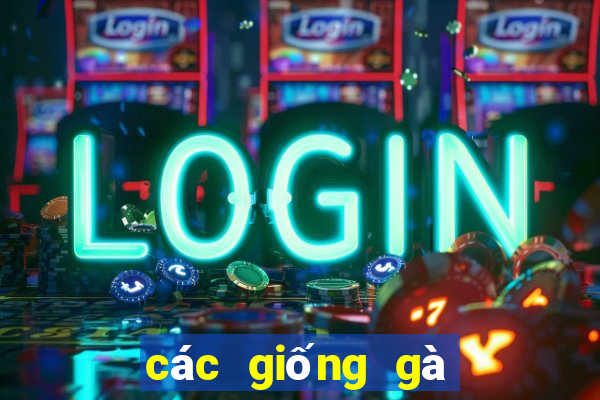 các giống gà đá trên thế giới