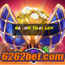 gà đòn thái lan