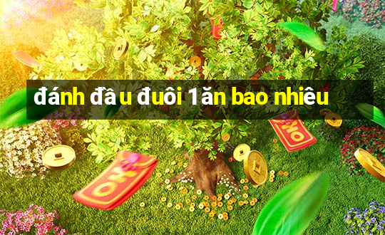 đánh đầu đuôi 1 ăn bao nhiêu