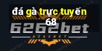 đá gà trực tuyến 68