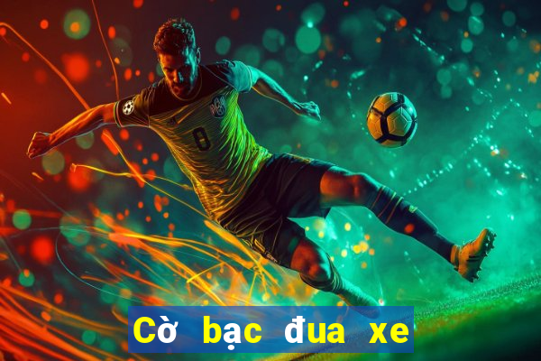 Cờ bạc đua xe Tải về