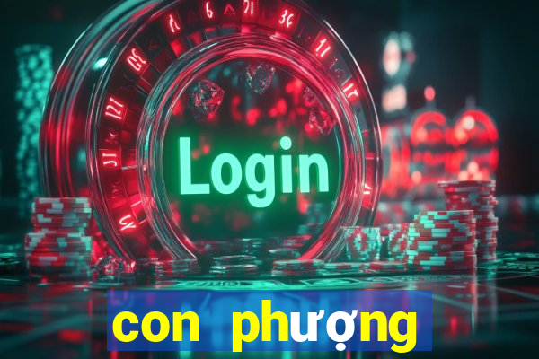 con phượng hoàng lửa